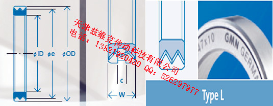 GMNL210X250X22油封圖紙