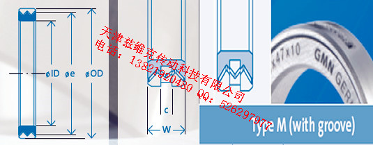 GMNM18X28X10油封圖紙